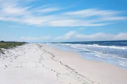 The Salty Parrot-Family Getaway, Steps to the Beach, Dog Friendly - Image 2