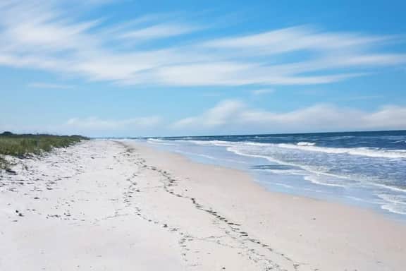 The Salty Parrot-Family Getaway, Steps to the Beach, Dog Friendly - Image 2